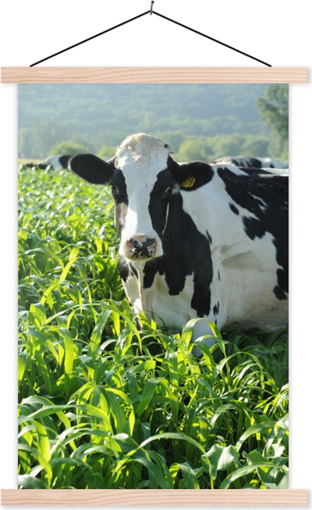 MuchoWow Textilposter Kuh - Gras - Berg - Tiere 40x60 cm mit holzfarbenen Rahmen - Poster