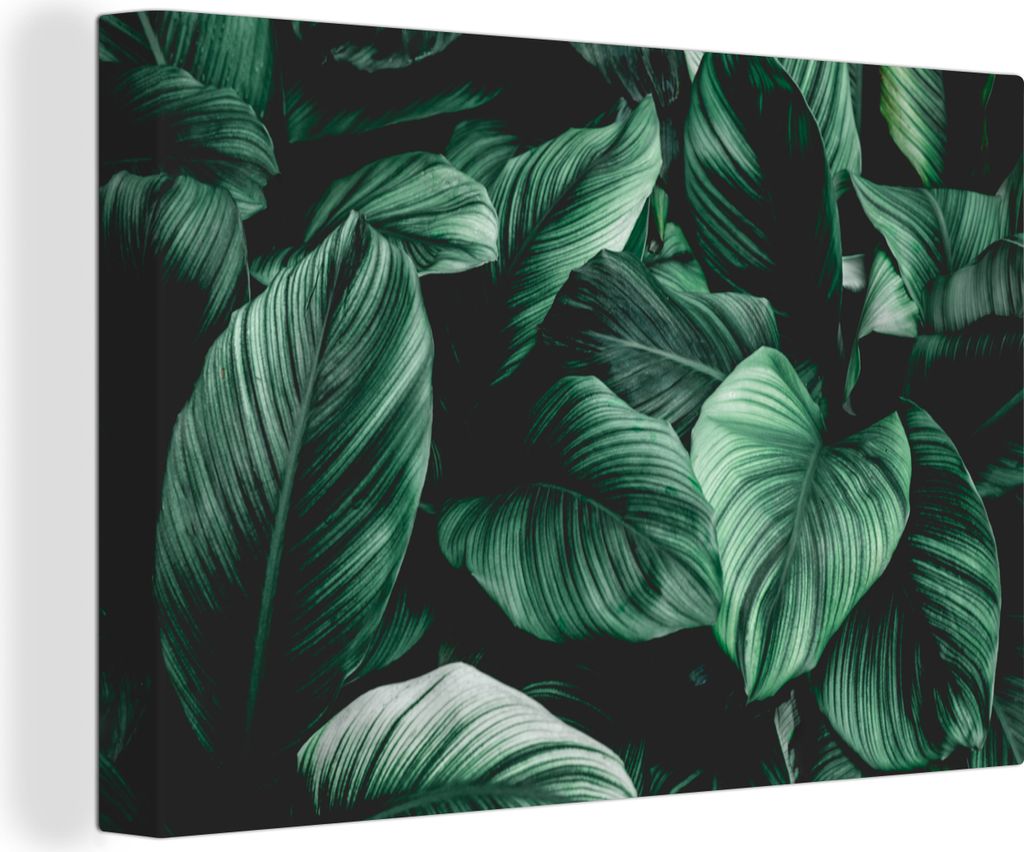 OneMillionCanvasses - Leinwandbilder - 150x100 cm, Dschungel - Blätter - Tropisch - Pflanzen - Natur, Wandbilder Kunstdruck Wanddekoration - Fot...