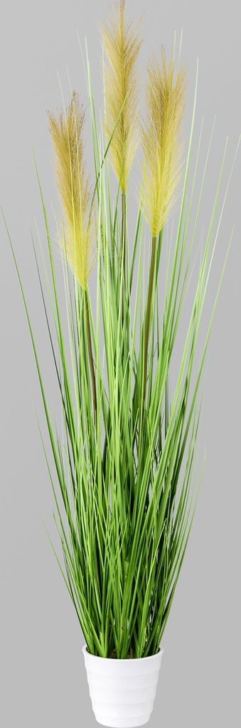 Kopu Kunstpflanze Pampusgras 95 cm - 3 Rispen - im weißen Topf