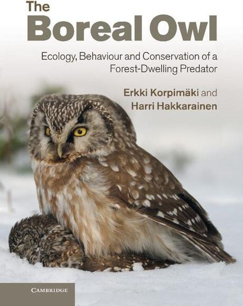 The Boreal Owl