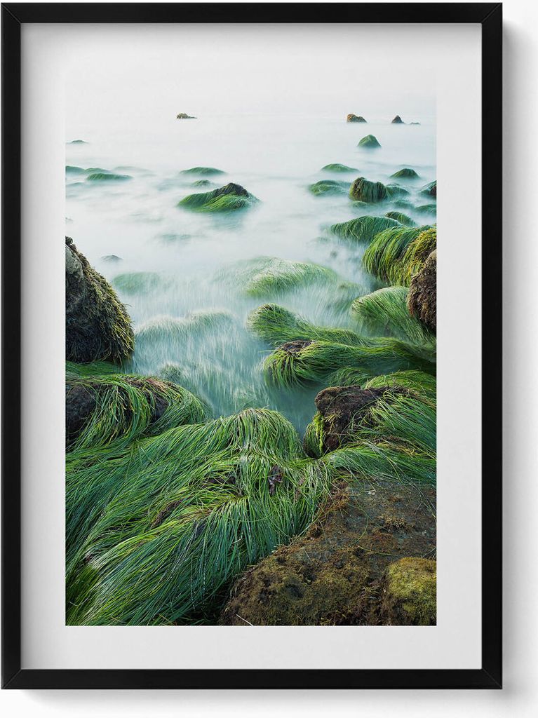 Gras am Flussufer– Wandbild mit Rahmen – Gerahmtes Bild – Wanddekoration – 50x70 cm – Schwarz Rahmen