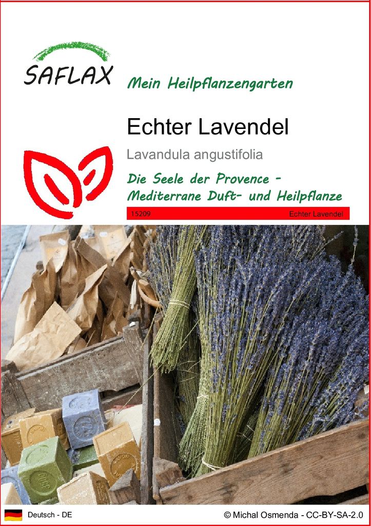 SAFLAX - Heilpflanzen - Echter Lavendel - 150 Samen - Lavandula angustifolia