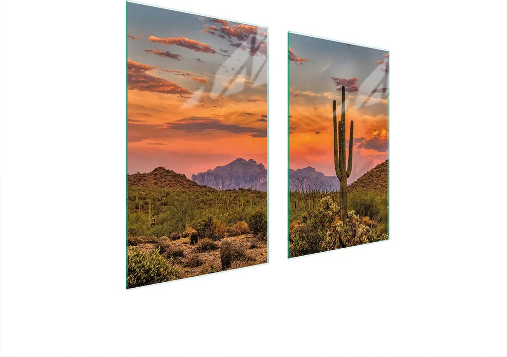 Copri Piano Cottura Vetro 75x52 Cactus - Set 2 Pezzi Multiuso