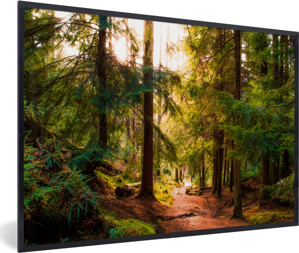MuchoWow Gerahmtes Poster Wald - Weg - Bäume - Grün - Sonne - Natur 90x60 cm - Poster mit Schwarzem Bilderrahmen Wandposter Rahmen Foto Bilder ...