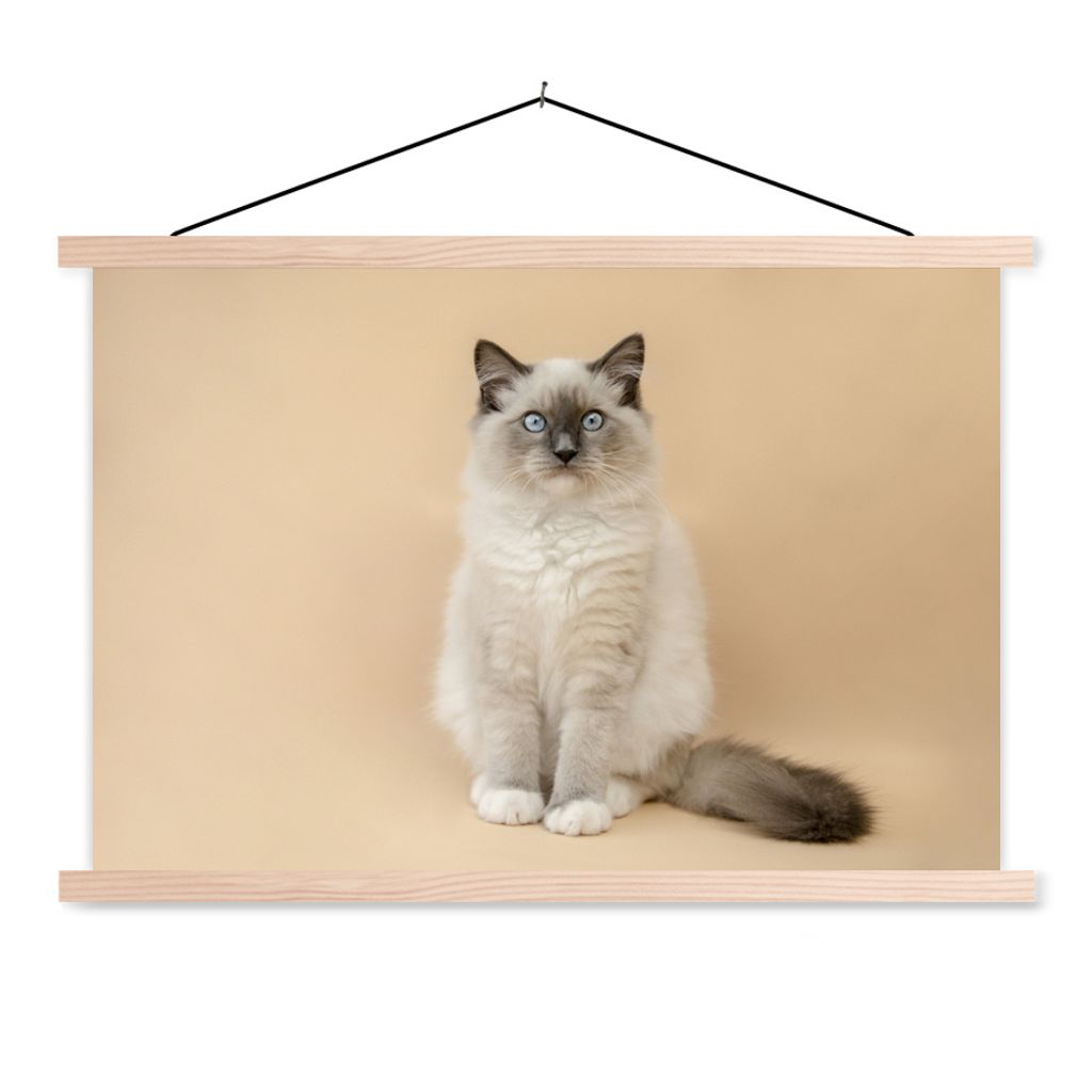 MuchoWow Textilposter Katze - Siamese - Porträt - Mädchen - Kinder - Jungen - Kinder 120x80 cm mit holzfarbenen Rahmen - Aufhängeset