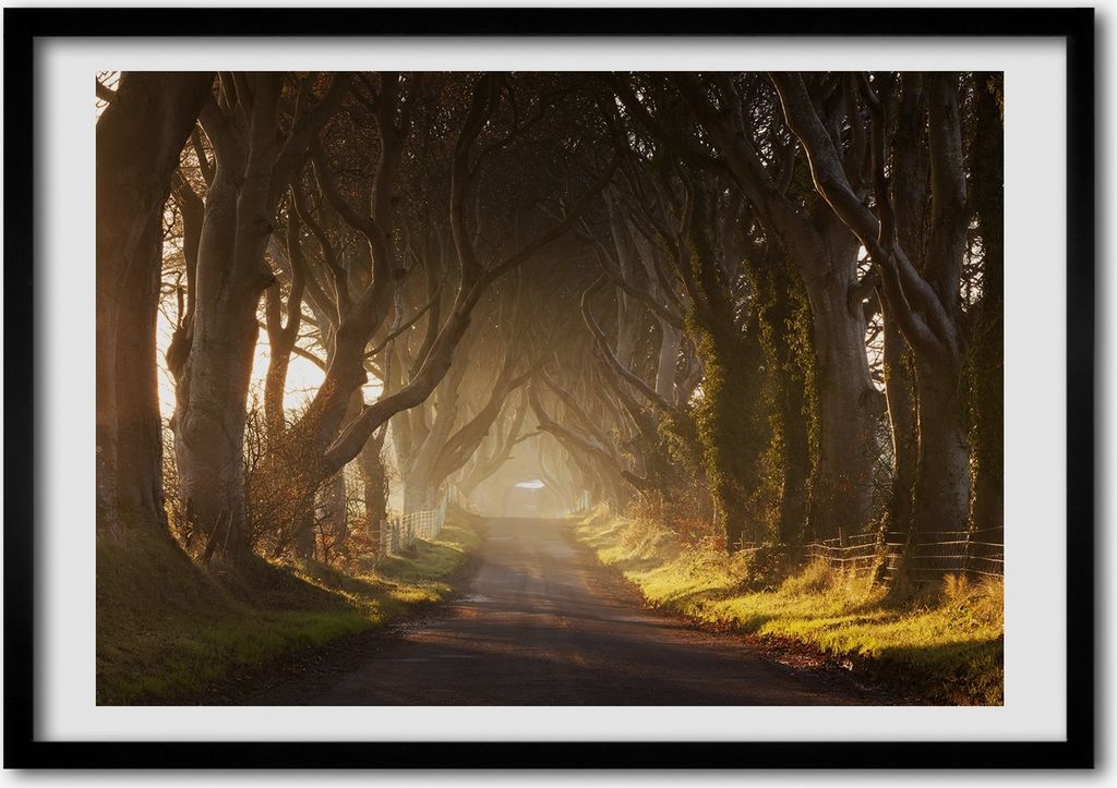 Bild - Bilder - Bilderrahmen - 70 cm x 50 cm - MDF-Rahmen, Wandkunst Nebel im Wald