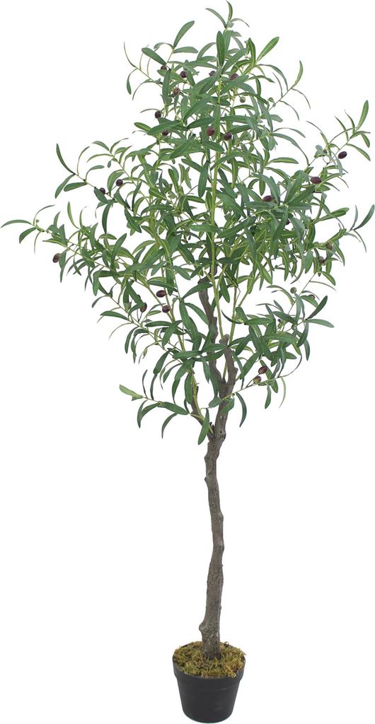 Decovego Künstlicher Olivenbaum, naturtreue Optik, Kunstpflanze, 160 cm, für Innenbereich, pflegeleicht & allergikerfreundlich