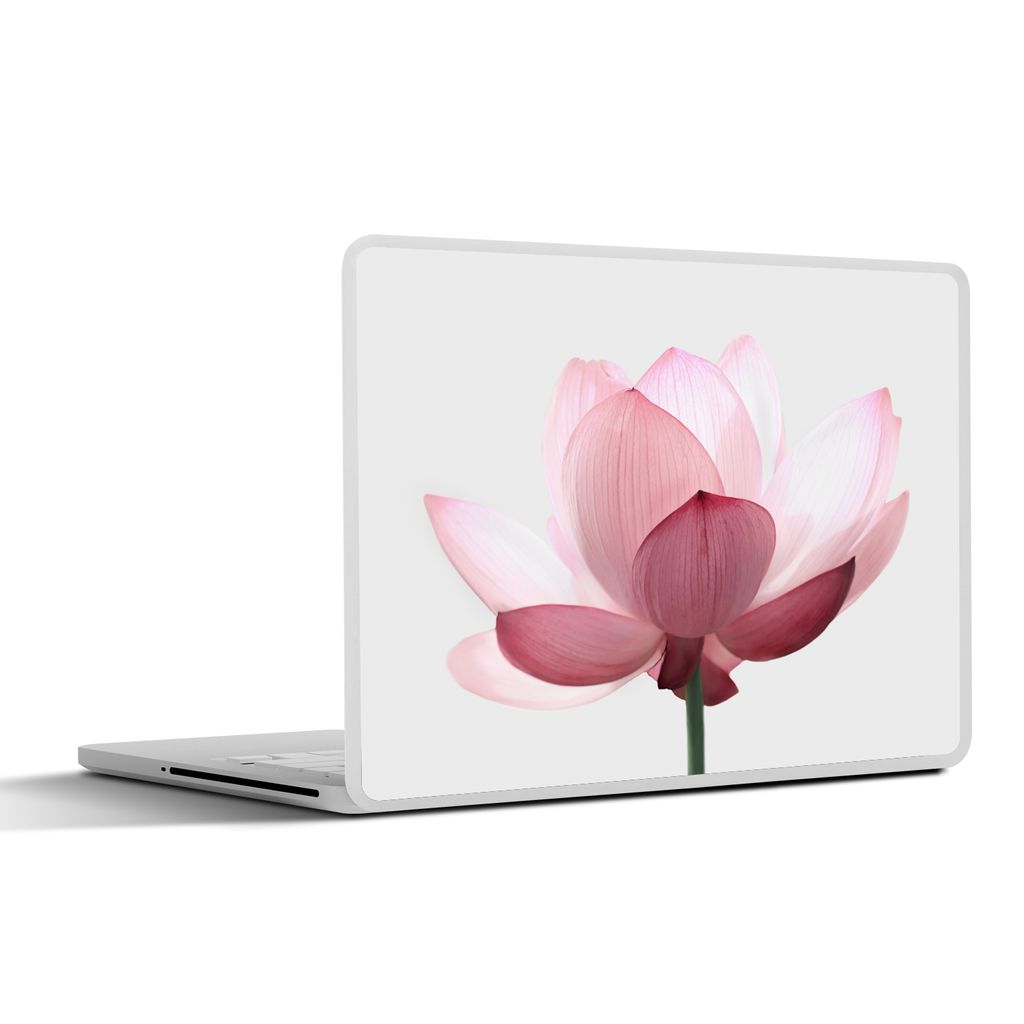 MuchoWow Laptop Aufkleber Sticker Cover Blumen - Rosa - Natur - Botanisch 25x18 cm - Laptop-Deko