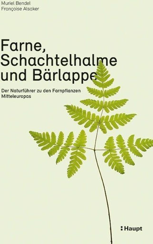 Farne, Schachtelhalme und Bärlappe