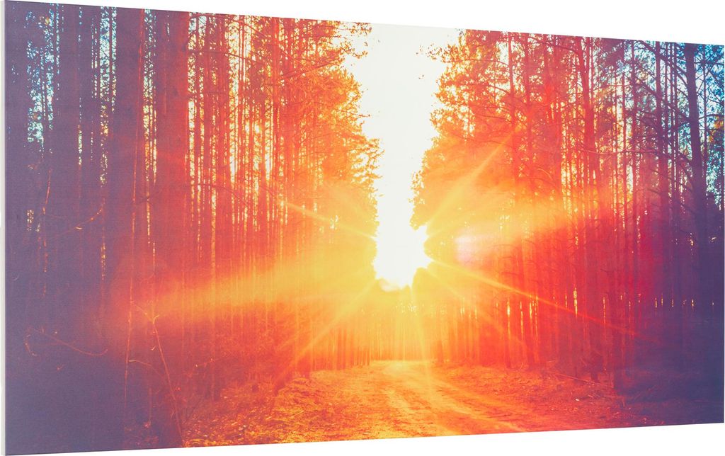 Klarstein Infrarotheizung mit Thermostat, 720W Elektroheizung, Bild-Infrarotheizung zur Wandmontage, IR Paneel mit Fernbedienung & Timer, Feuchtrau...