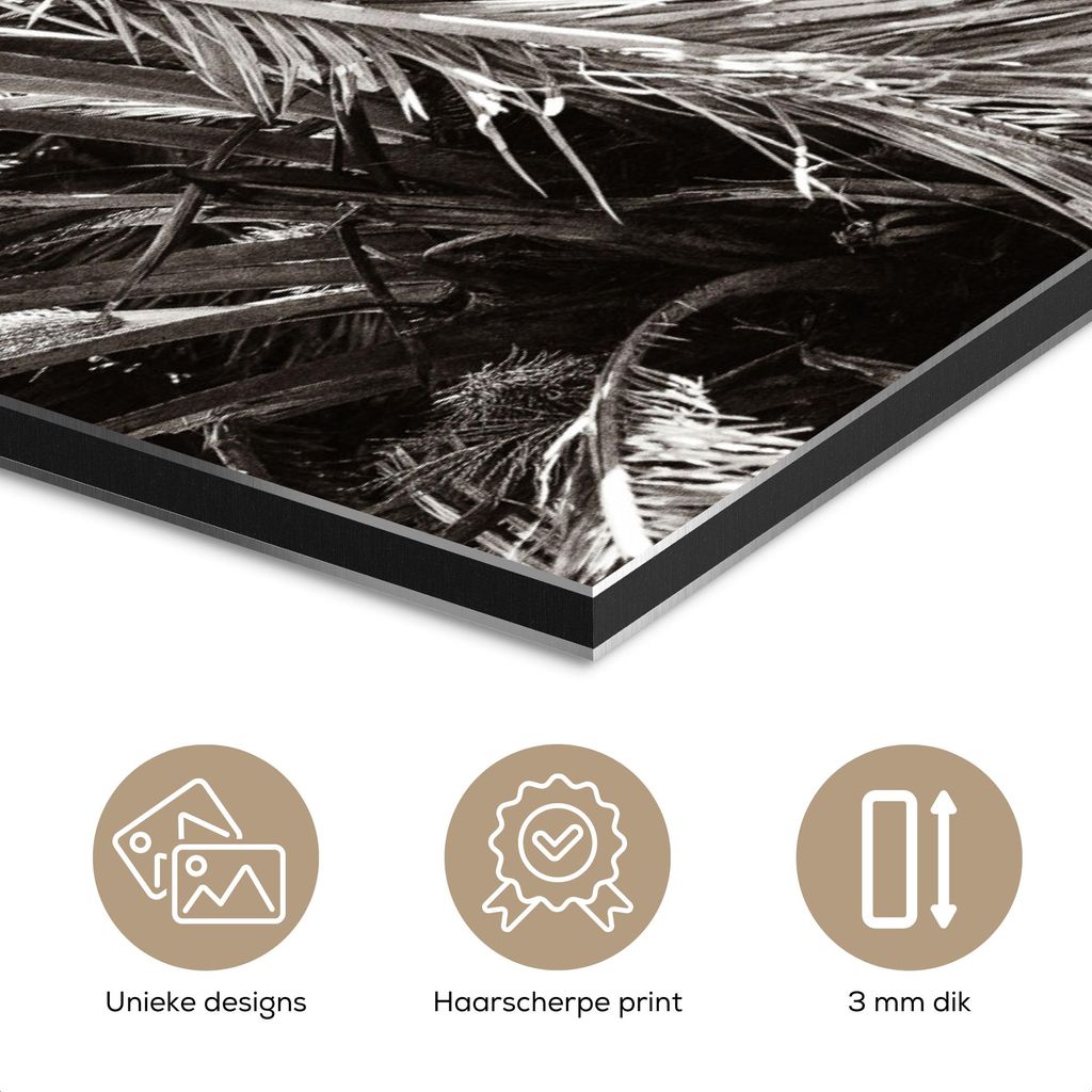 MuchoWow Wanddekoration Metall Metallbild Wandkunst 60x40 cm Palme - Tropisch - Schwarz - Weiß MuchoWow Aluminium Gemälde - Gemälder
