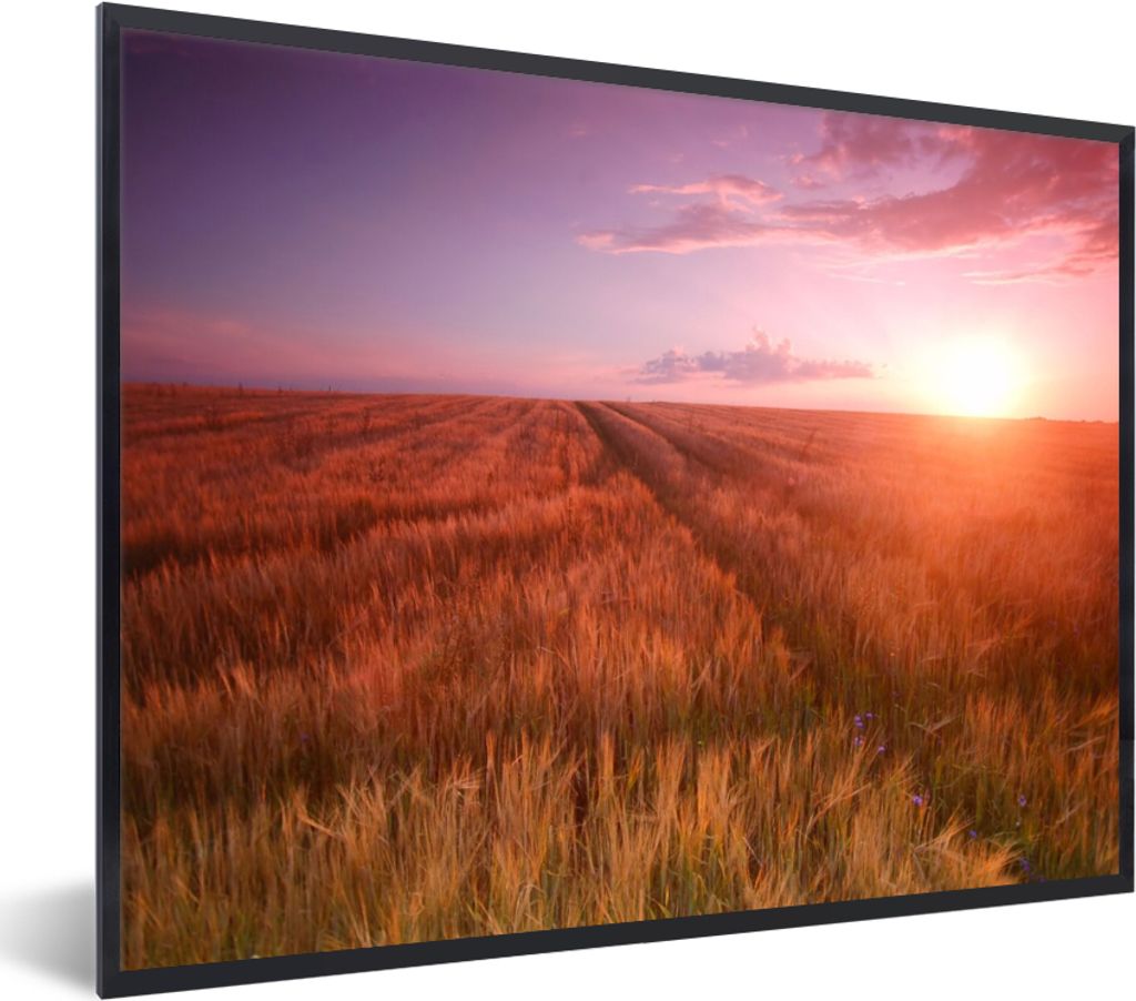 MuchoWow Gerahmtes Poster Wiese - Sonne - Abend - Landschaft 80x60 cm - Poster mit Schwarzem Bilderrahmen Wandposter Rahmen Foto Bilder - Schwarz...