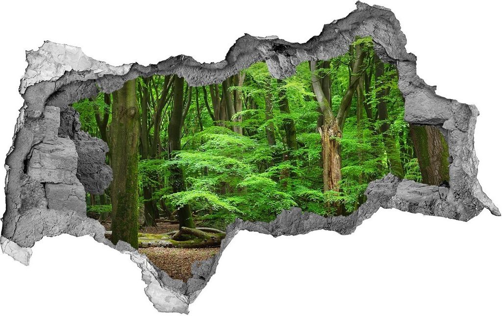 Selbstklebender Loch-3D-Aufkleber 95x73 cm niederländischer Wald
