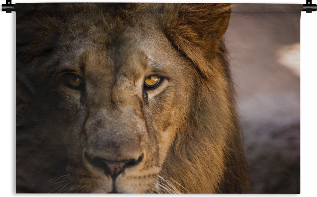 MuchoWow Wandteppich Wandbehang Löwen - Profil - Farben 120x80 cm Tapisserie Dekoration Wandtuch - Wanddekorationen - Wandtücher