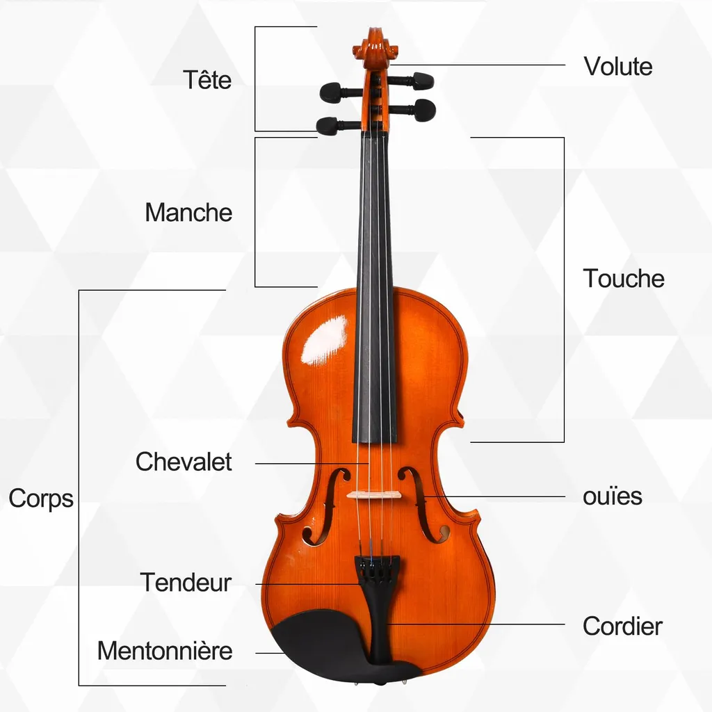 Violon 4/4 robuste anti-choc avec kit complet d'accessoires de maintenance