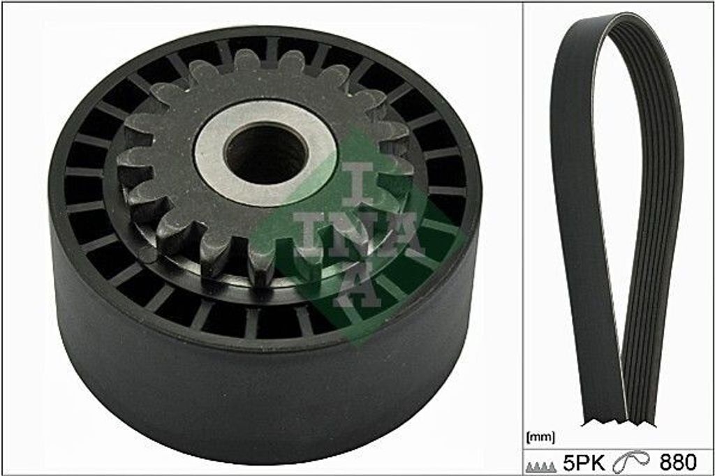 INA 529 0172 10 Keilrippenriemensatz für RENAULT CLIO II (BB0/1/2, CB0/1/2)