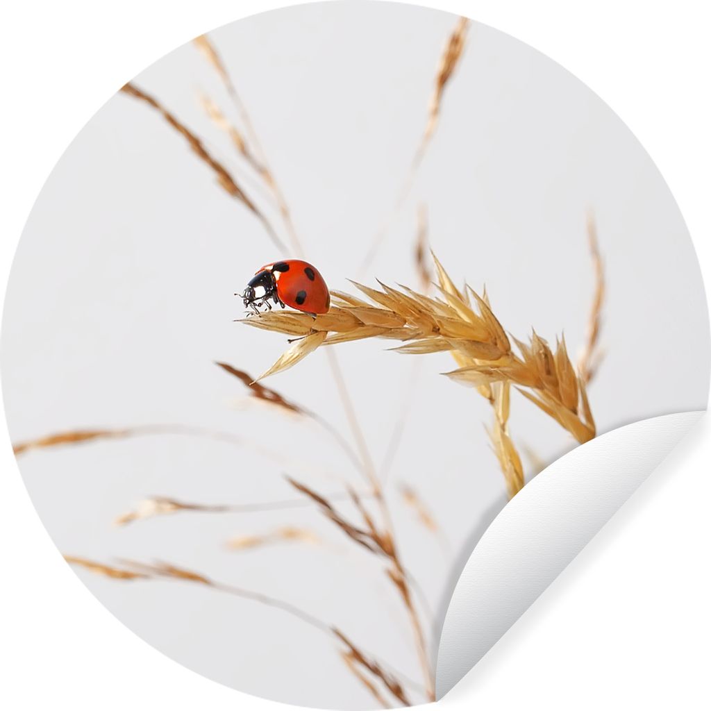 MuchoWow - Mauerkreis - Wand Bilder - Wandsticker - Wohnzimmer Dekoration - Dekoration für die Wände - Aluminium - Babyzimmer