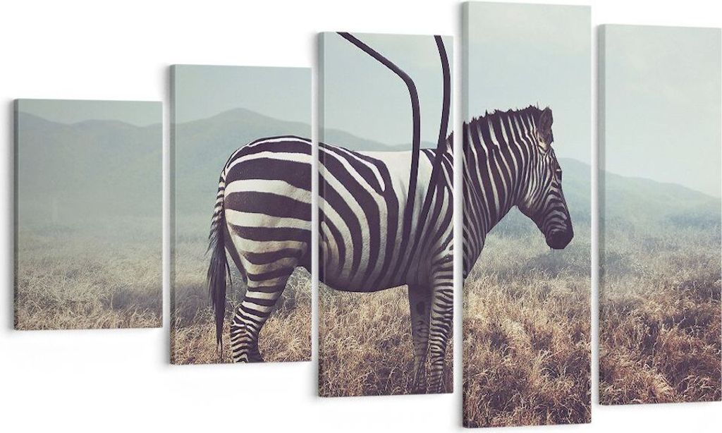 Bild auf Leinwand - Leinwandbild - Zebra Tier Wiese - 100x60cm - Wand Bild - Wanddeko - Wandbilder - Leinwanddruck - Bilder - Kunstdruck - Wanddeko...