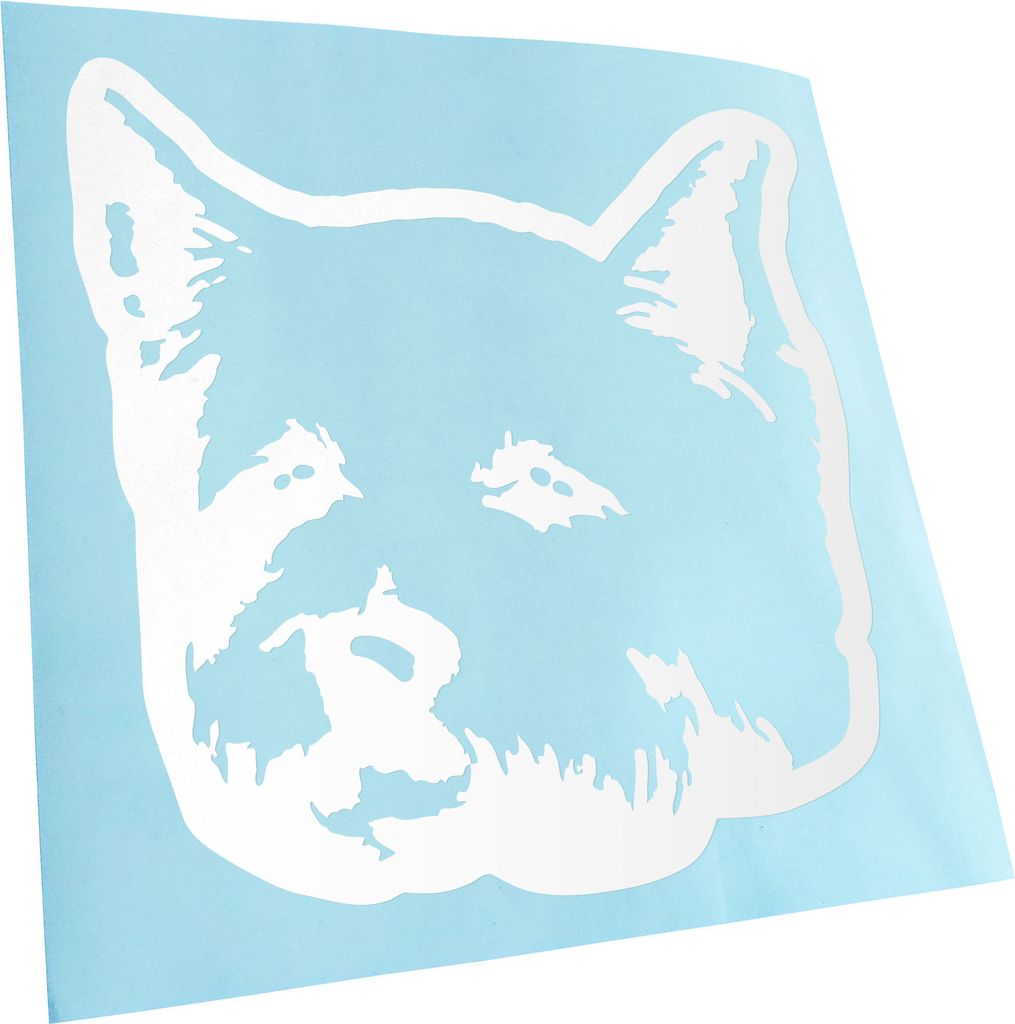 Kiwistar - Autoaufkleber - west highland white terrier Hund - Weiss - 30x30cm - Aufkleber für Auto, Laptop, Fahrrad, LKW, Motorrad mehrfarbig JDM ...