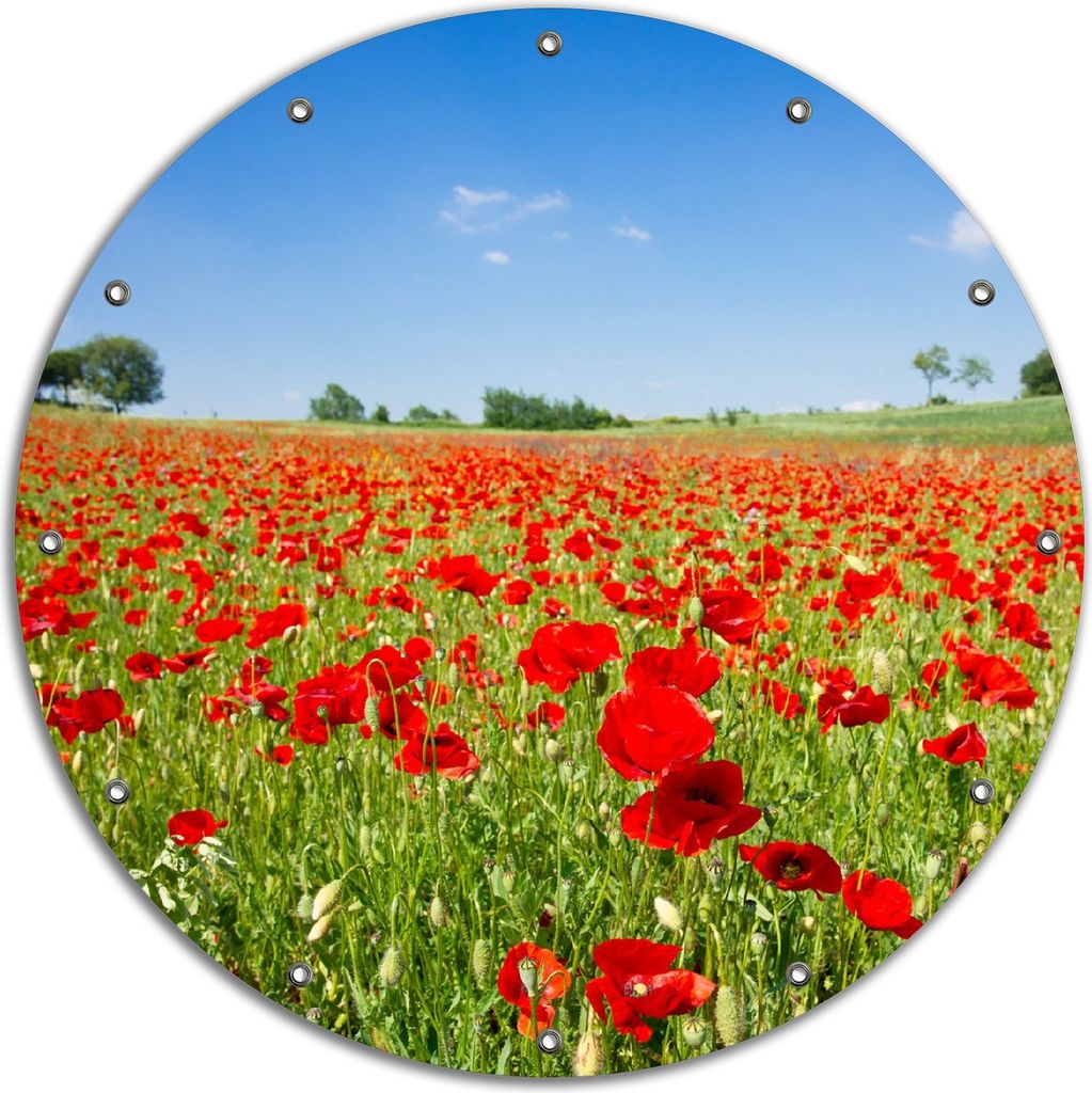 Wallario rundes Outdoor-Poster für Garten oder Balkon, Motiv Mohnblumenfeld- rote Blumen unter blauem Himmel, 90 cm Durchmesser