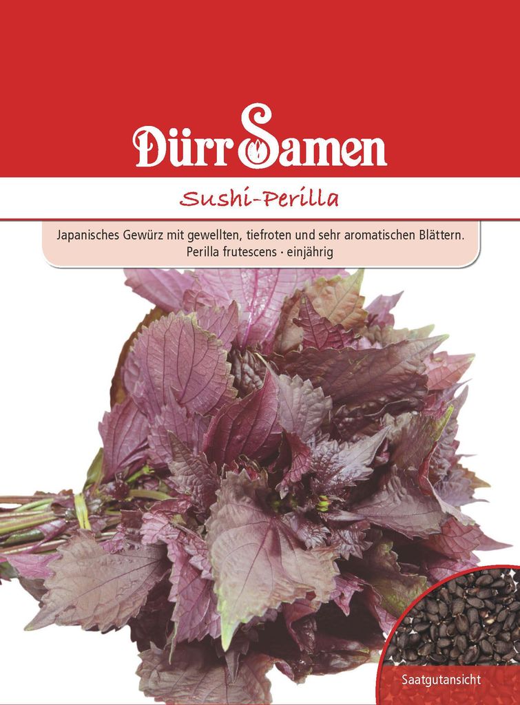 Artikelbild 1 von 'Sushi-Perilla' aus der Kategorie Kräutersamen