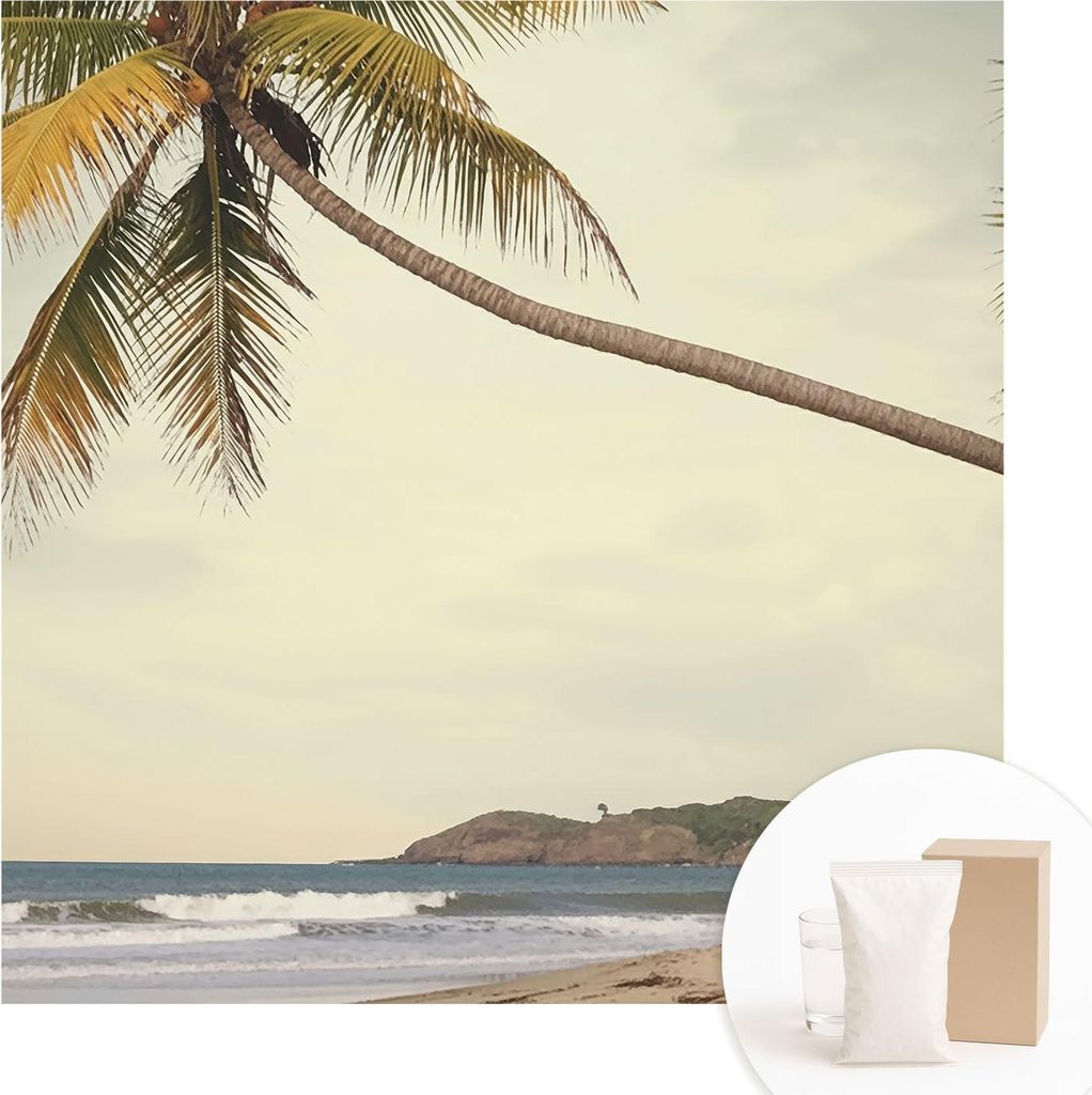 Fototapete - Wandbilder für Wohnzimmer - 250x250 cm - Dekorative Wandfolie - Modernes Design für Wanddekoration - Tapeten für Innenräume - Trop...
