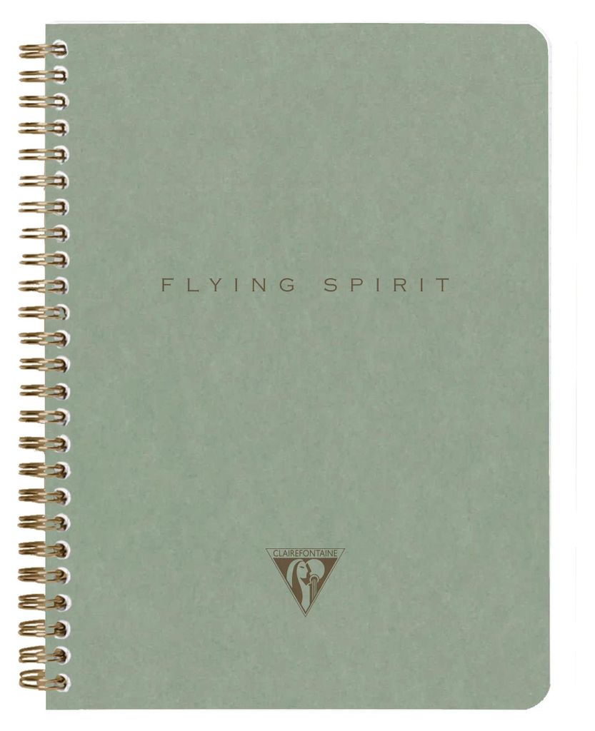 Clairefontaine 5x Notizbuch A5 14,8x21cm, 60 Bl liniert, 90g Graugrün 107566C