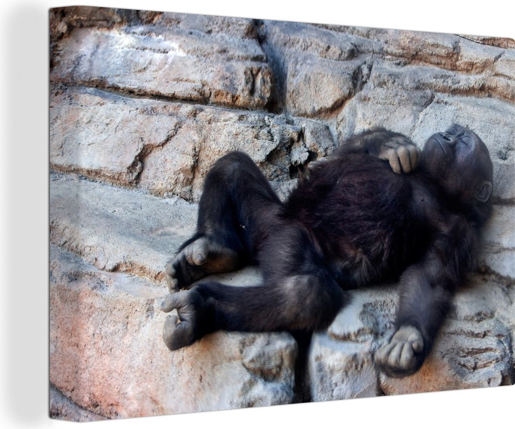 OneMillionCanvasses - Leinwandbilder - 140x90 cm, Gorilla - Tiere - Affe, Wandbilder Kunstdruck Wanddekoration