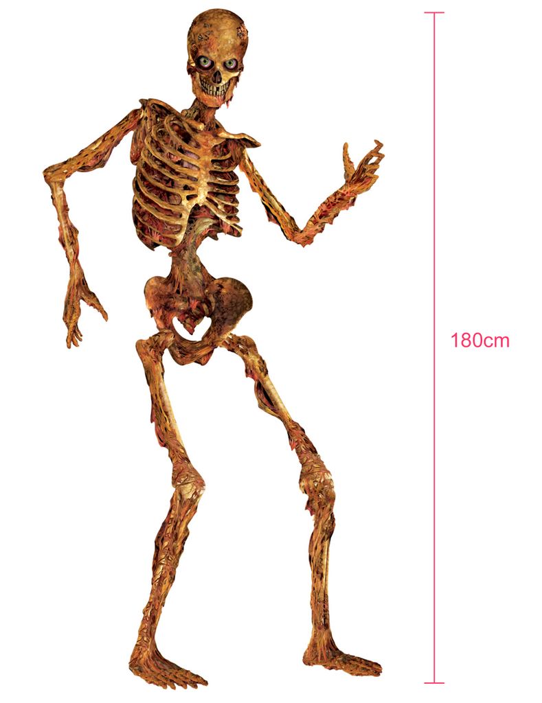 90cm Halloween-Skelett Halloween Lebensgroß Beweglich Lehrmodell Anatomie  Deko-Party-Requisite