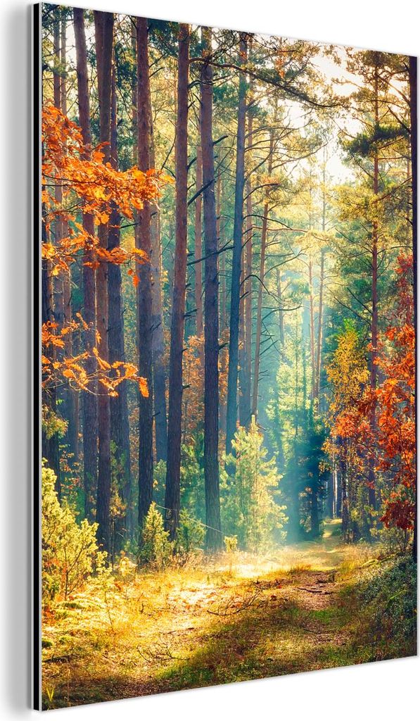 MuchoWow Wanddekoration Metall Metallbild Wandkunst 60x80 cm Wald - Sonne - Natur - Herbst MuchoWow Aluminium Gemälde - Wanddekoration Metall