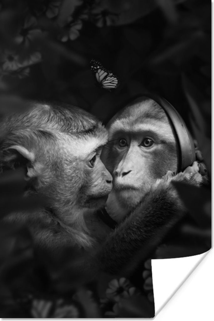 MuchoWow Poster Spiegelbild eines Affen im Dschungel - schwarz und weiß 60x90 cm - Wanddekoration