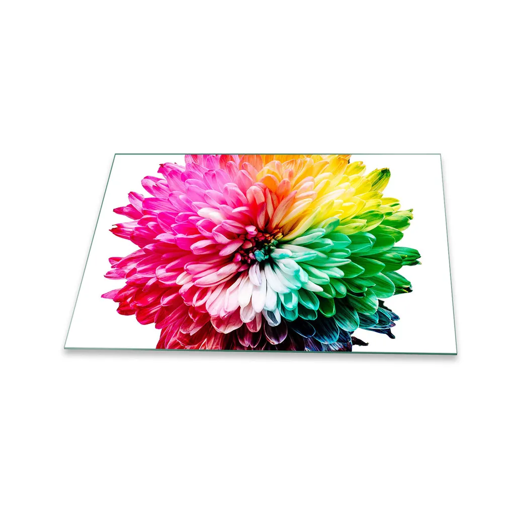 Custodia per iPhone 13 Pro / 13 da 6,1, motivo