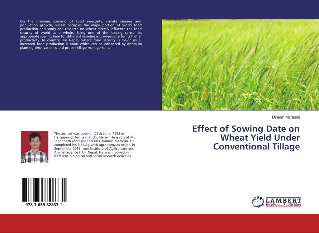 Effect of Sowing Date on Wheat Yield Under Conventional Tillage