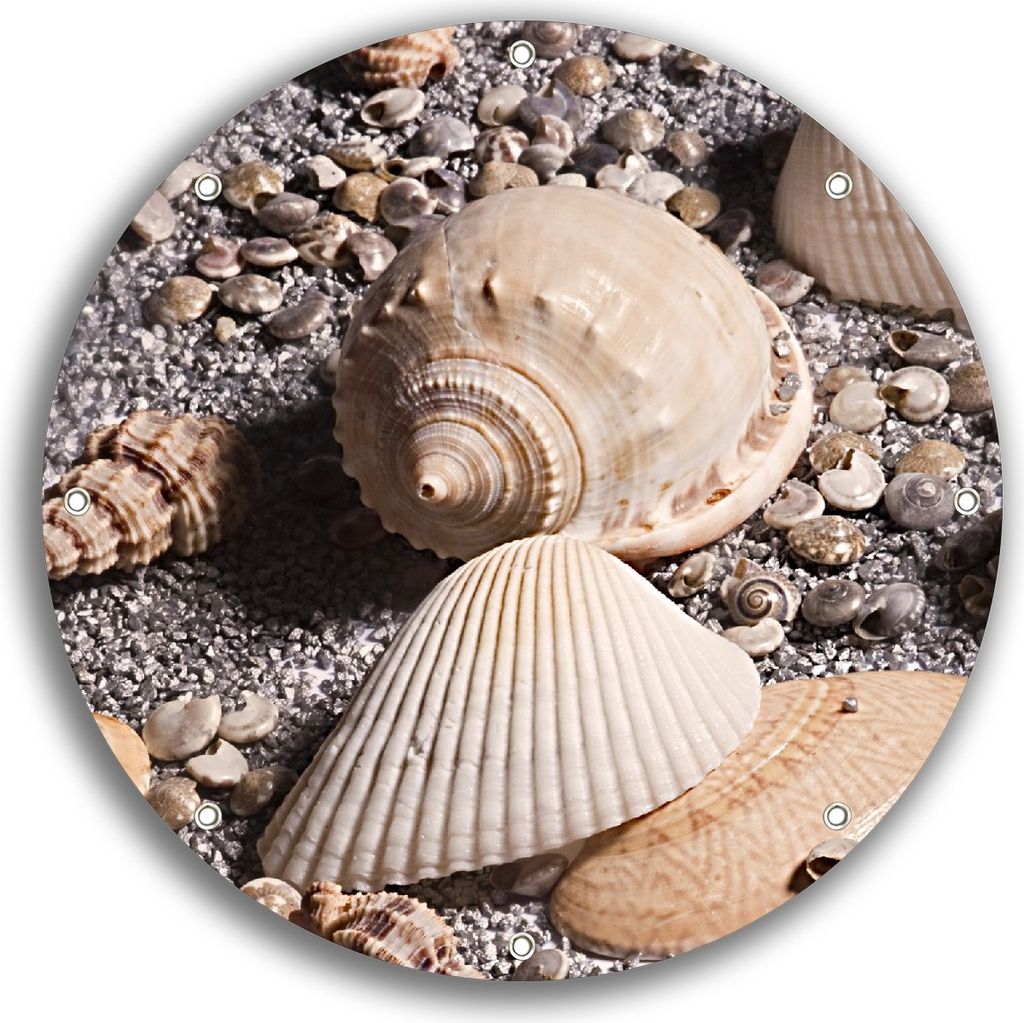 Wallario rundes Outdoor-Poster für Garten oder Balkon, Motiv Muscheln am Strand, 30 cm Durchmesser