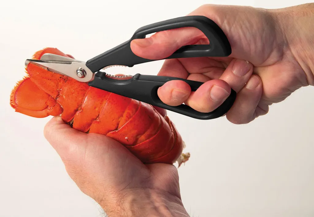 Ciseaux de cuisine haute qualité pour mollusques à coupe inversée 18cm - 12