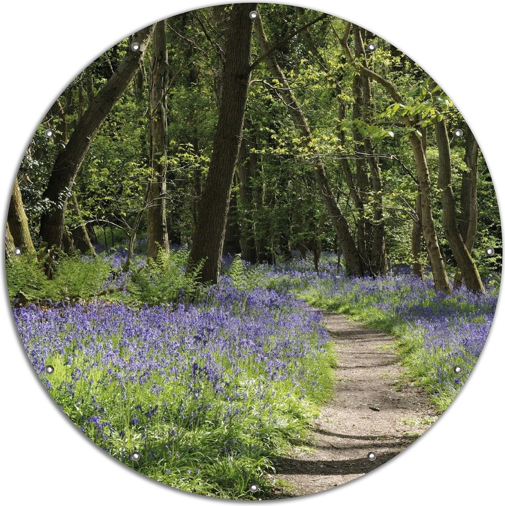 Wallario rundes Outdoor-Poster für Garten oder Balkon, Motiv Wiese voller blauer Hasenglöckchen im Wald, 120 cm Durchmesser