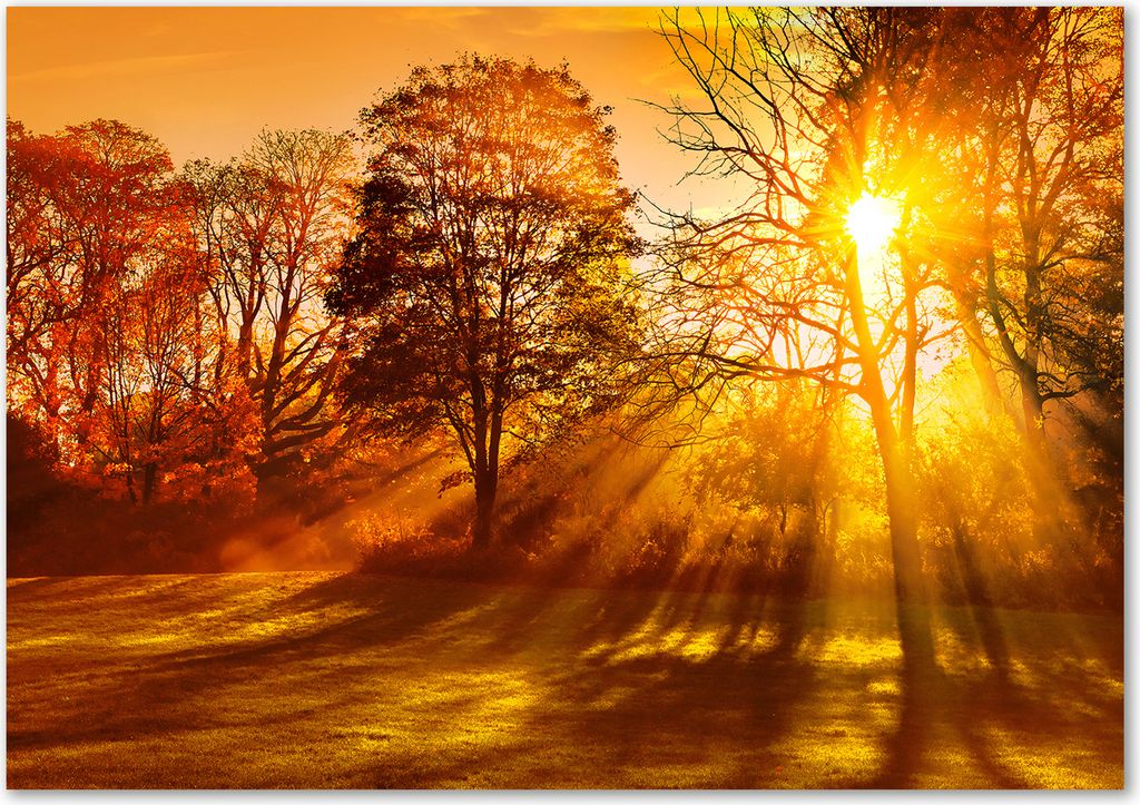 Tulup Glas-Bild - 100 x 70 - Wandbild aus Glas - Wandkunst - Wandbild hinter gehärtetem Sicherheitsglas - Landschaften - Sonnenuntergang - Orange