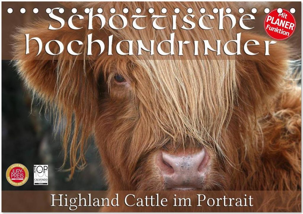 Schottische Hochlandrinder - Highland Cattle im Portrait (Tischkalender 2026 DIN A5 quer), CALVENDO Monatskalender