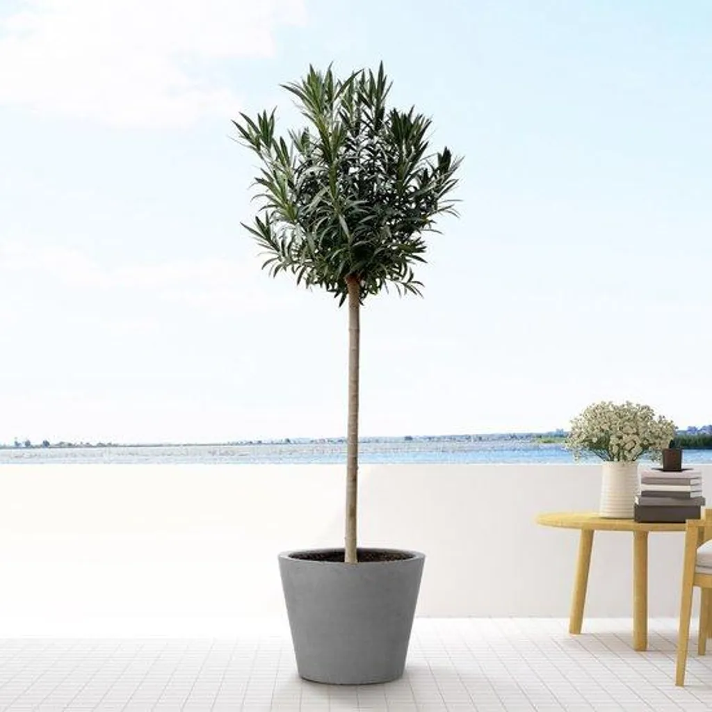 Grande rose décorative rose 170 cm avec corolle de 40 cm haute qualité