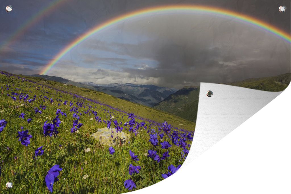 MuchoWow 90x60 cm Outdoor-Poster Gartendeko Sichtschutz Garten Poster für den Garten Ein Regenbogen über den lila Pflanzen auf der Wiese