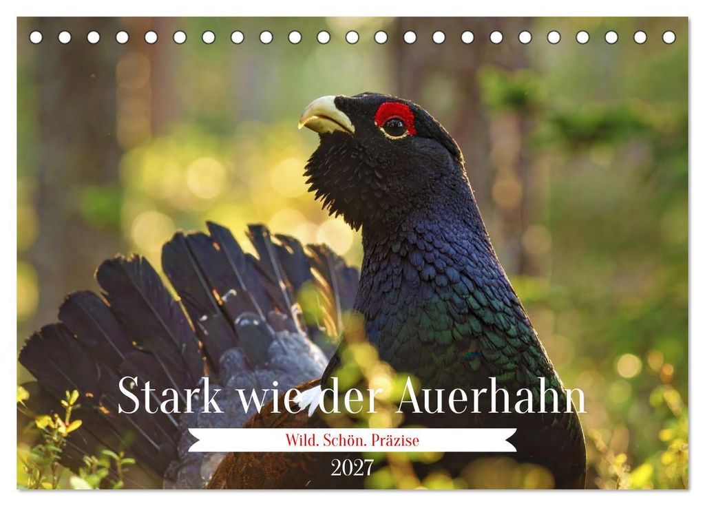 Stark wie der Auerhahn (Tischkalender 2027 DIN A5 quer), CALVENDO Monatskalender