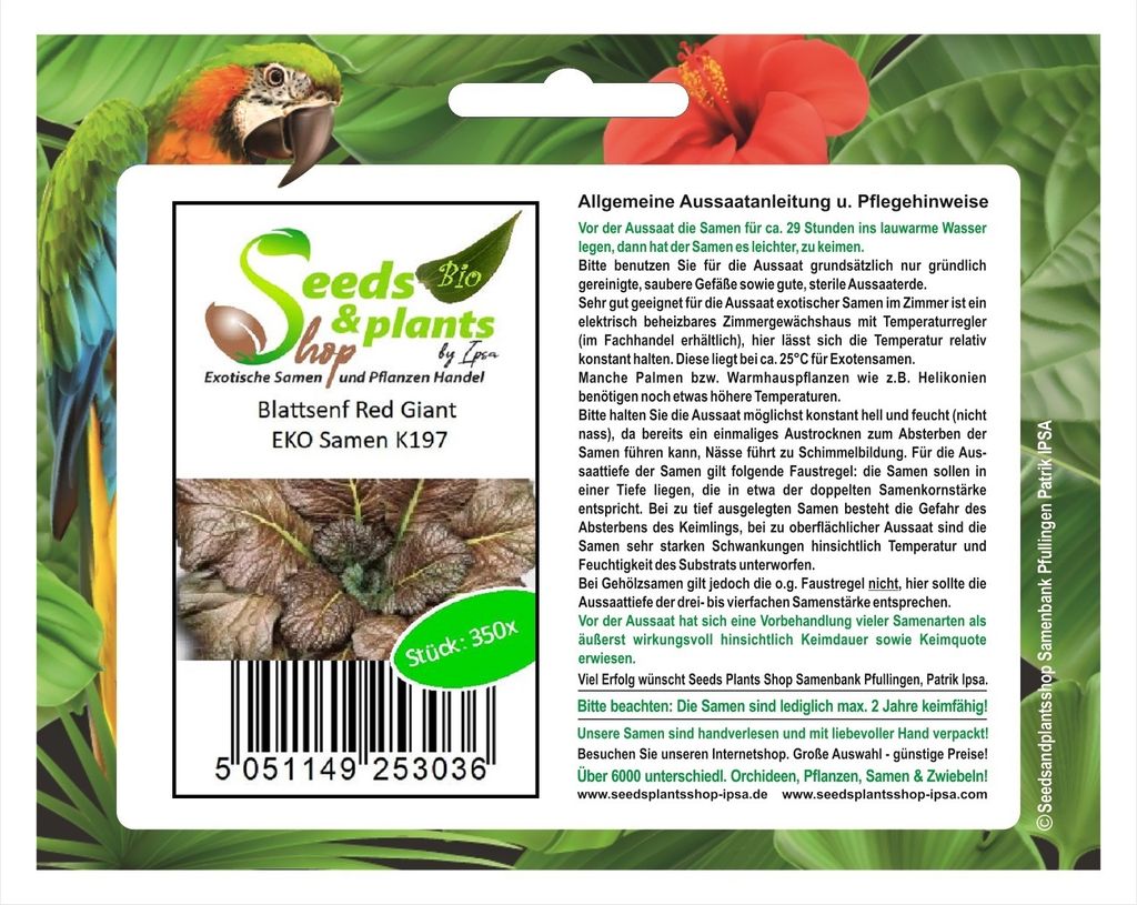 350x Blattsenf Red Giant EKO Senf Gemüse Saatgut Garten Pflanzen - Samen K197