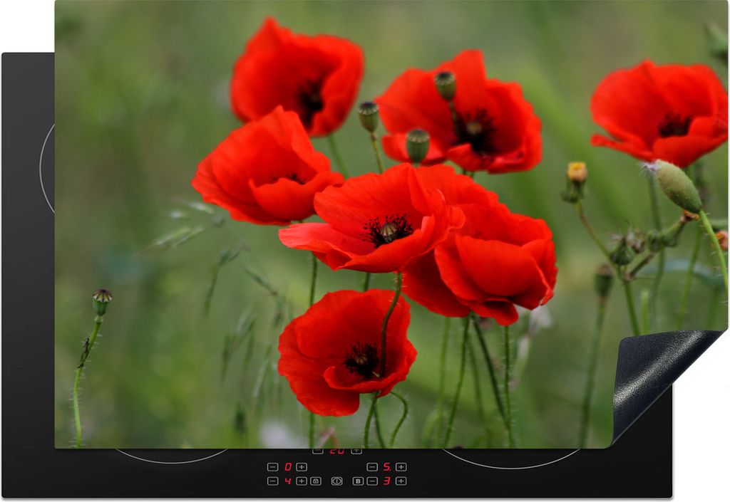 KitchenYeah Herdabdeckplatte Blumen - Mohn - Rot , 78x52cm, Küche Deko, Glaskeramikkochfeld Herdabdeckung, Abdeckplatte fùr Kochfeld