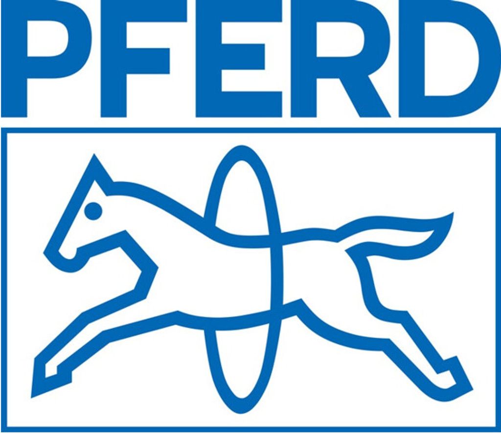 PFERD Polierwerkzeuge FK ZYA 0810/3 M