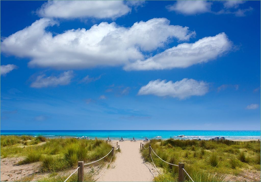 Wallario Fototapete Vliestapete, seidenmatte Oberfläche, einfache Verarbeitung, Größe 200 x 140 cm, Motiv Sandweg zum blauen Meer mit blauem Himmel