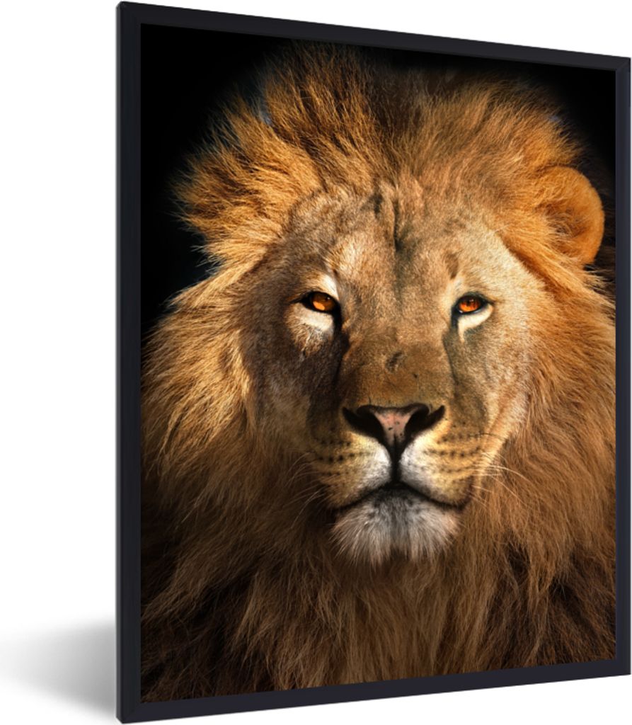 MuchoWow Gerahmtes Poster Löwe - Tiere - Schwarz - Hell - Braun - Porträt 60x80 cm - Poster mit Schwarzem Bilderrahmen Wandposter Rahmen Foto B...