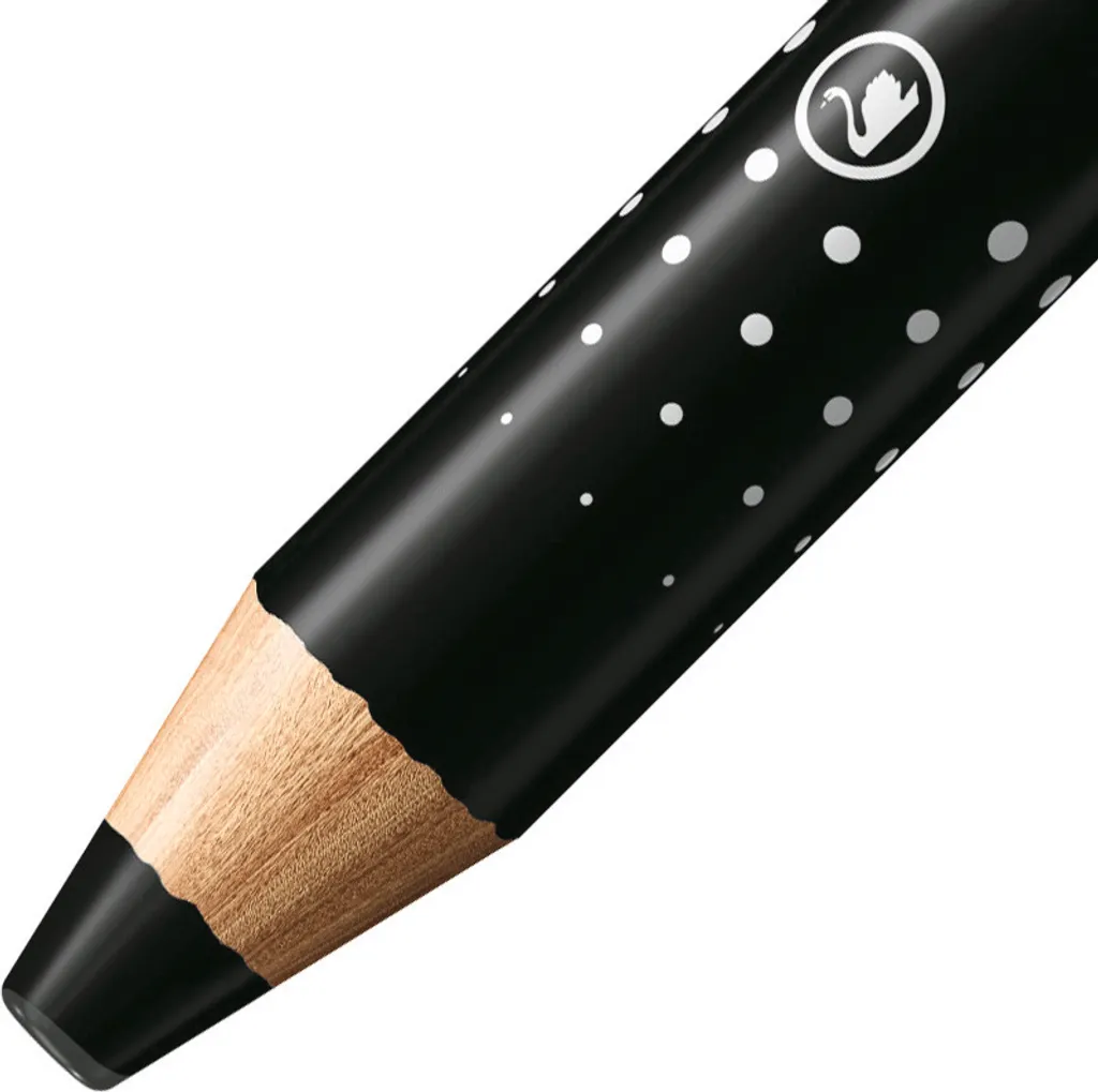 Crayon pour Tableau Blanc Stabilo Markdry Noir - Idéal Enseignement - x5 - 3