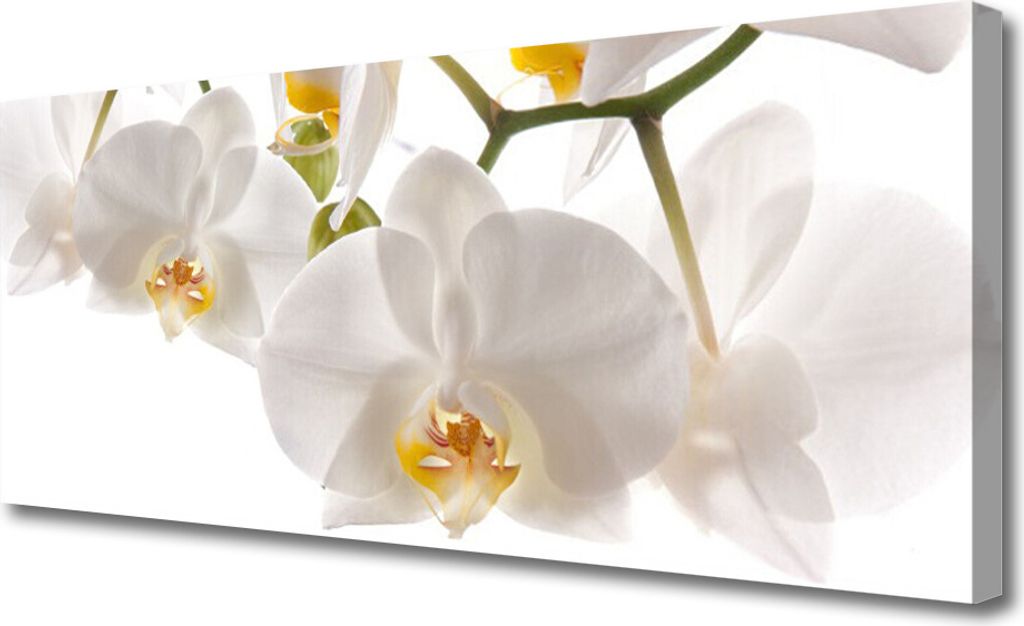 Tulup Leinwand-Bilder 125x50 Wandbild Canvas Kunstdruck Blumen Pflanzen