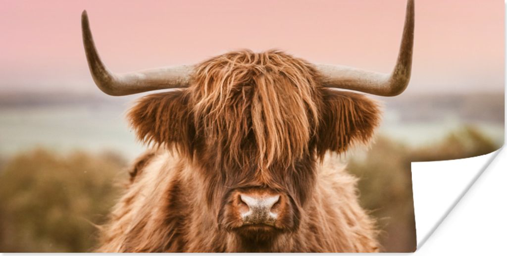 MuchoWow Poster Schottischer Highlander - Hörner - Meer 80x40 cm - Wanddeko