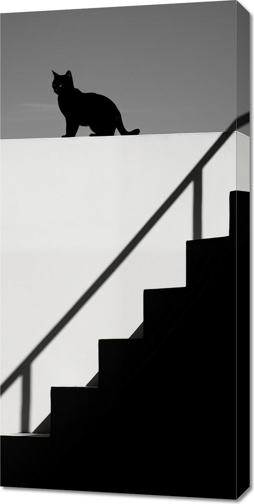 Bild 50x100cm Silhouette und Symmetrie